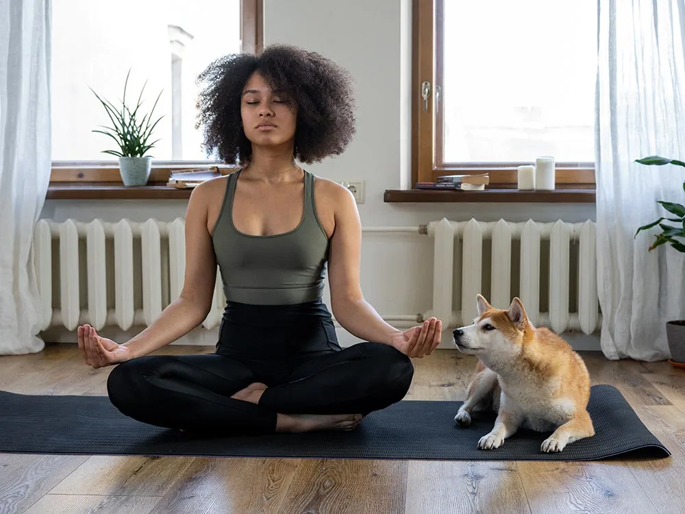 como manejar el estrés y la ansiedad, insomnio,dormir bien.