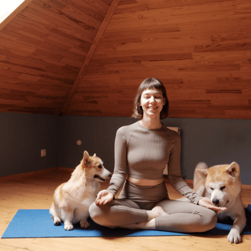 como manejar el estrés y la ansiedad,curso de meditación, insomnio