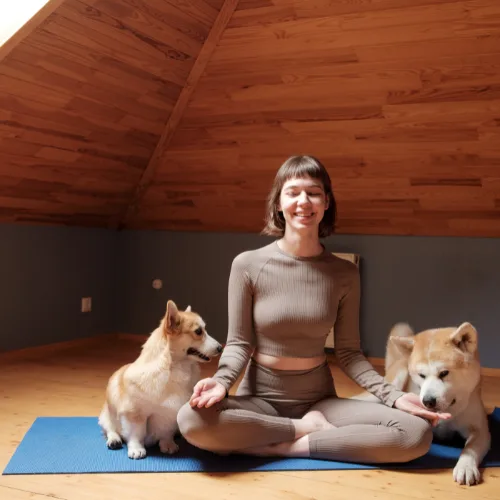 como manejar el estrés y la ansiedad,curso de meditación, insomnio